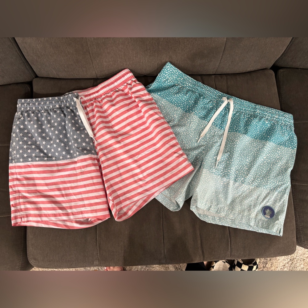 Men’s chubbies swim trunks